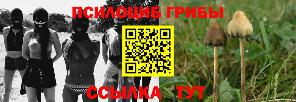цена наркотик  Галлюциногенные грибы мицелий  Вход с VPN  Сургут 